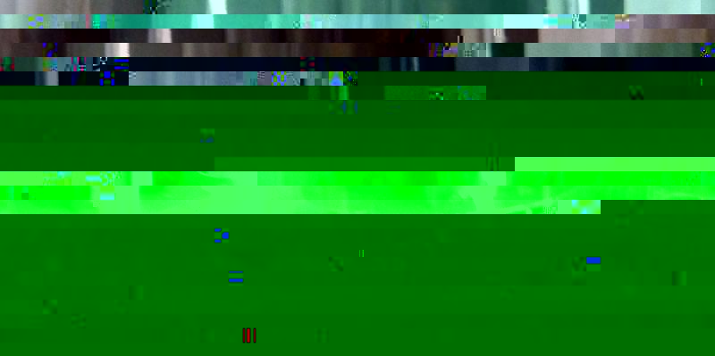 P1010826_800.jpg