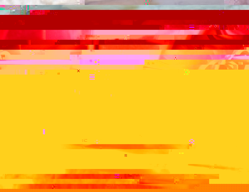 P1010949_800.jpg